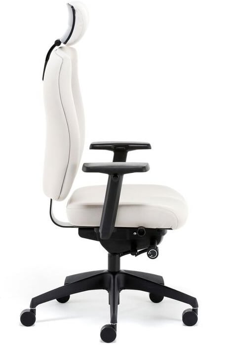 Posture Plus - Elegant Modern Fabric Office Chair