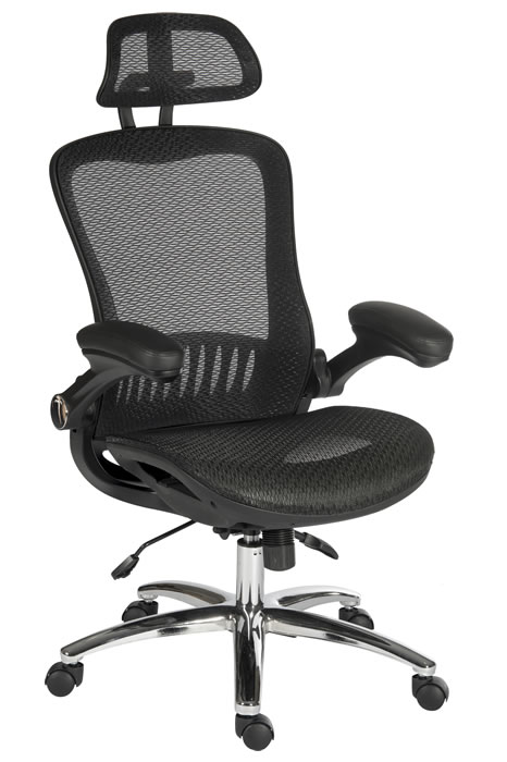 View High Back Mesh Office Chair With Headrest Breathable Fabric Folding Padded Arms Reclining Backrest Seat Height Adjust Headrest Adjust information