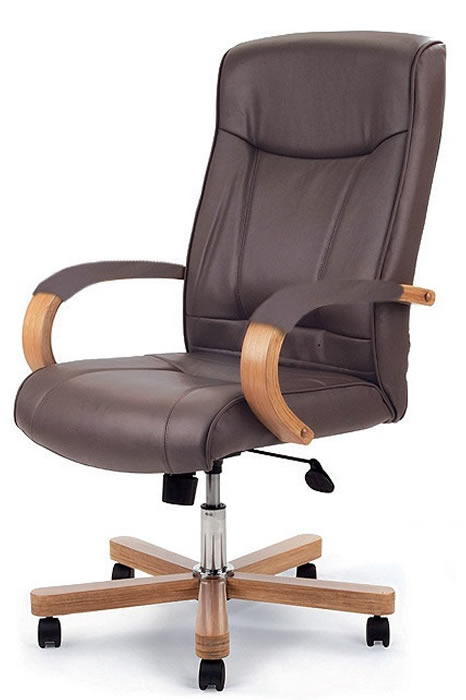 Barnes Brown Executive Leather Office Chair