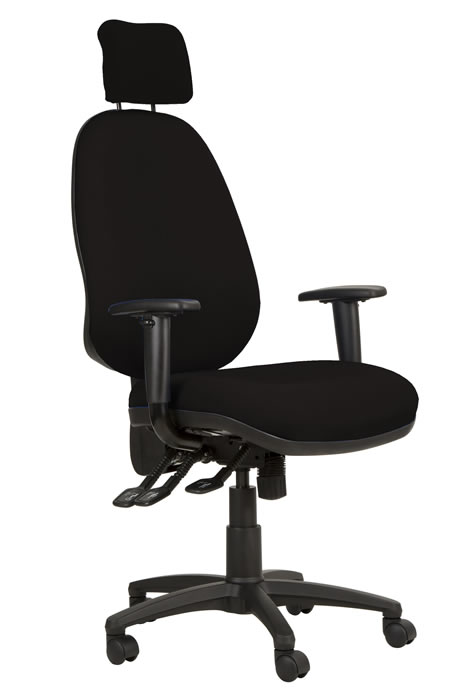 View Black High Back Lumber Support Office Chair Height Adjustable Backrest Adjustable Lumber Support Seat Slide Adjustable Arms Ergo Posture information