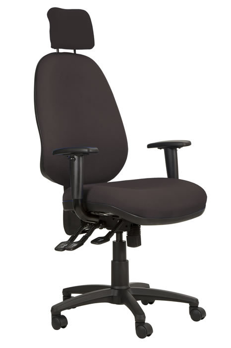 View Grey High Back Lumber Support Office Chair Height Adjustable Backrest Adjustable Lumber Support Seat Slide Adjustable Arms Ergo Posture information