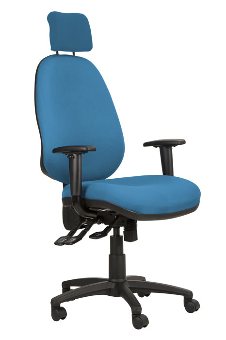 View Sky Blue High Back Lumber Support Office Chair Height Adjustable Backrest Adjustable Lumber Support Seat Slide Adjustable Arms Ergo Posture information