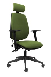 Ergo Sit Green High Back Office Chair