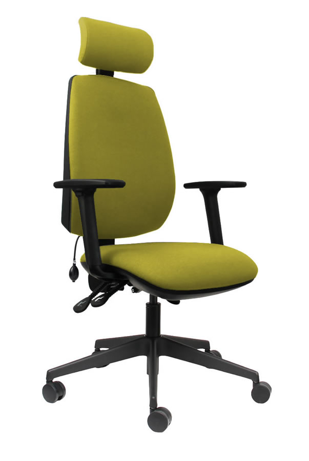 View Yellow High Back Ergonomic Executive Desk Home Office Chair Ratchet Height Backrest Seat Tilt Seat Slide Adjustable HeadrestErgo Sit information