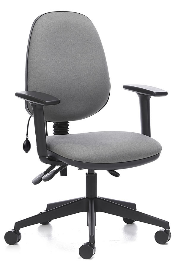 View Grey Ergo Lumber Fabric Computer Desk Chair Independent Seat Ergonomic Inflatable Lumbar Back Pain Support Adjustable Arms 5 Year Guarantee information