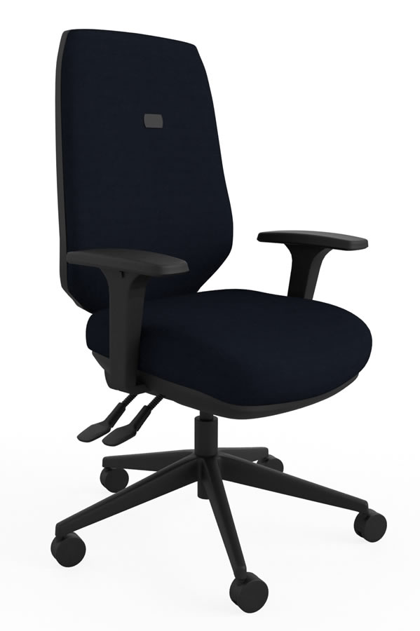 View Black Luxury Ergonomic Best Home Office Desk Chair Multiple Features Orthopaedic Backrest Comfy Office Chair Suits Larger User Ergo Flex information