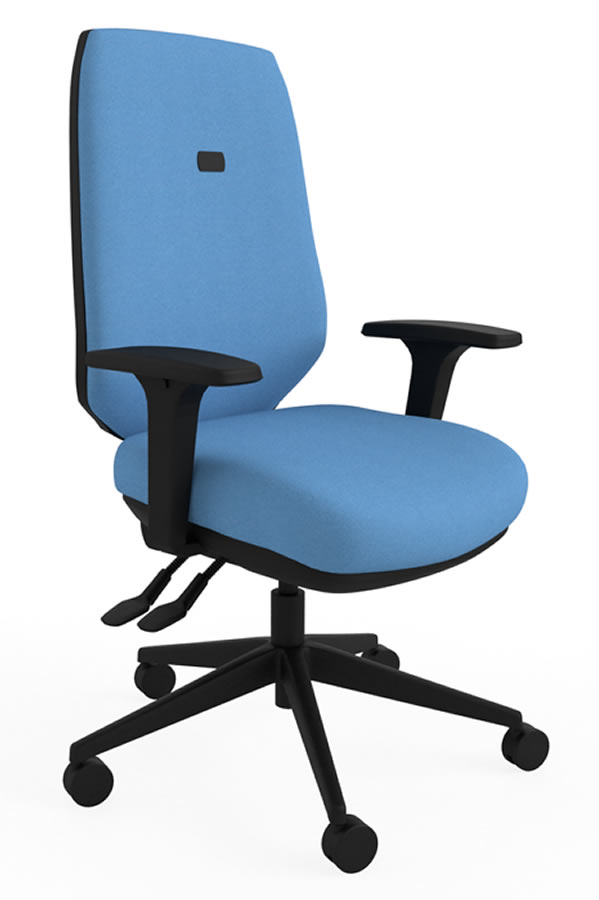 View Blue Luxury Ergonomic Best Home Office Desk Chair Multiple Features Orthopaedic Backrest Comfy Office Chair Suits Larger User Ergo Flex information