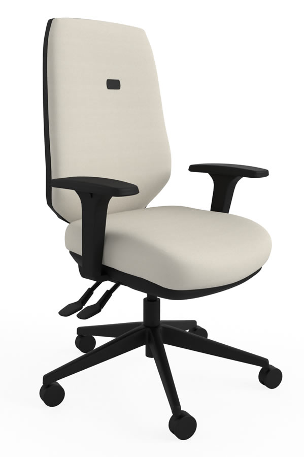 View Cream Luxury Ergonomic Best Home Office Desk Chair Multiple Features Orthopaedic Backrest Comfy Office Chair Suits Larger User Ergo Flex information