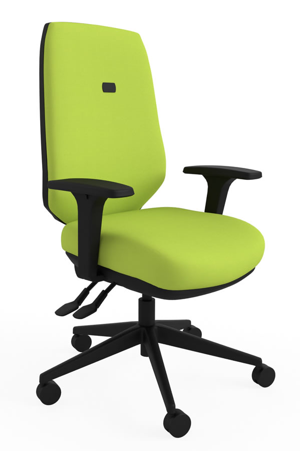 View Green Luxury Ergonomic Best Home Office Desk Chair Multiple Features Orthopaedic Backrest Comfy Office Chair Suits Larger User Ergo Flex information
