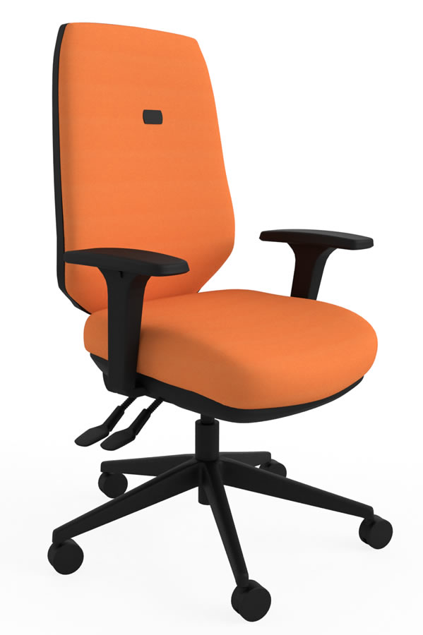 View Orange Luxury Ergonomic Best Home Office Desk Chair Multiple Features Orthopaedic Backrest Comfy Office Chair Suits Larger User Ergo Flex information