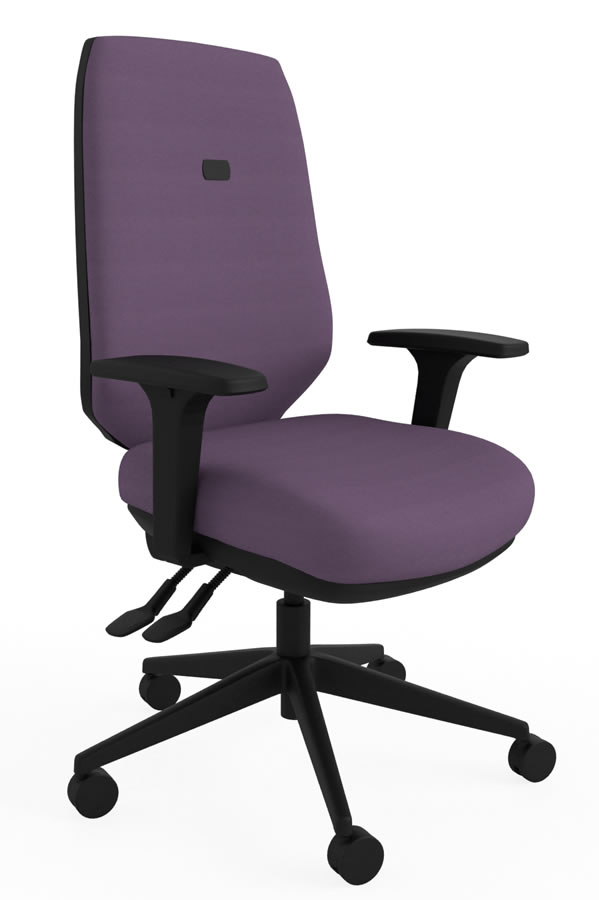 View Purple Luxury Ergonomic Best Home Office Desk Chair Multiple Features Orthopaedic Backrest Comfy Office Chair Suits Larger User Ergo Flex information