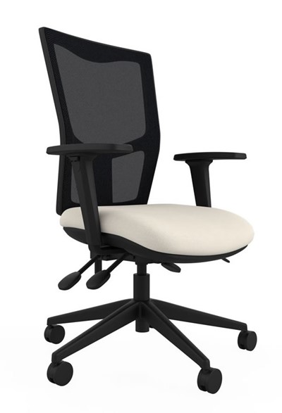 Paris Mesh Ergonomic Chair