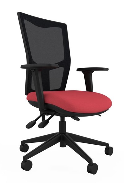 Paris Mesh Ergonomic Chair