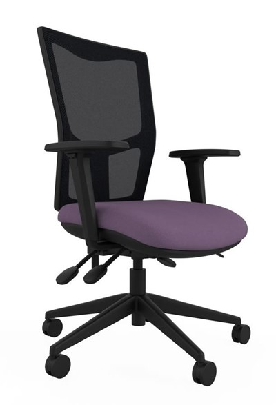 Paris Mesh Ergonomic Chair