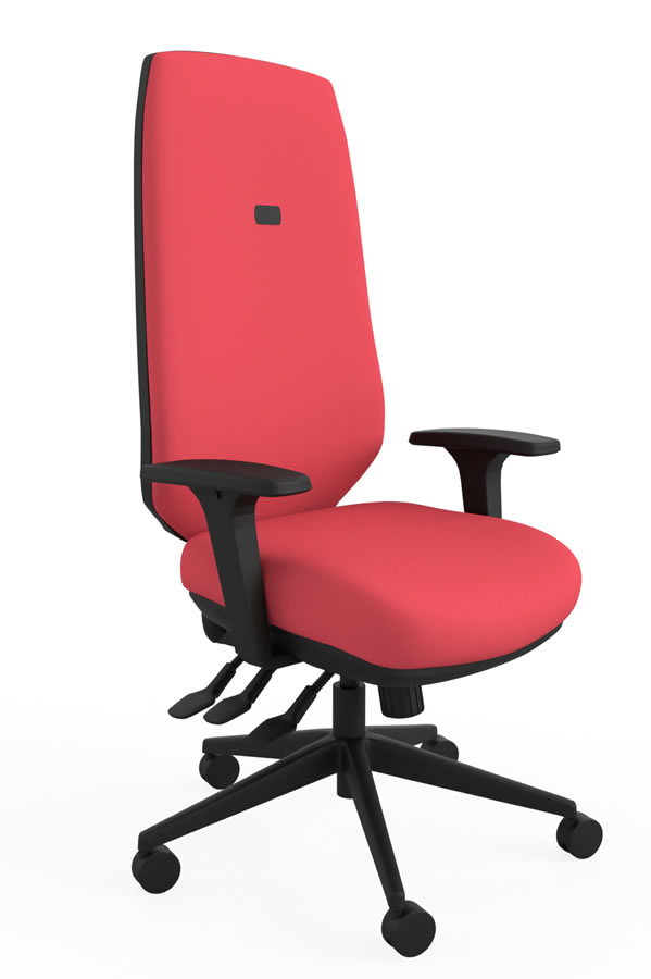 View Red Ergo Adjust High Back Office Chair Infinitely Locking Seat Backrest Seat Slide Inflatable Lumbar Height Depth Adjustment information