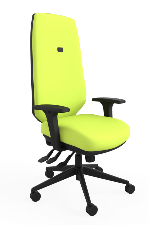 View Green Ergo Adjust High Back Office Chair Infinitely Locking Seat Backrest Seat Slide Inflatable Lumbar Height Depth Adjustment information