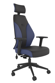 Abyss High Back Ergonomic Chair - Blue/Black 