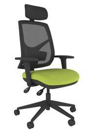 Ergo Fix Mesh High Back Office Chair - Green 