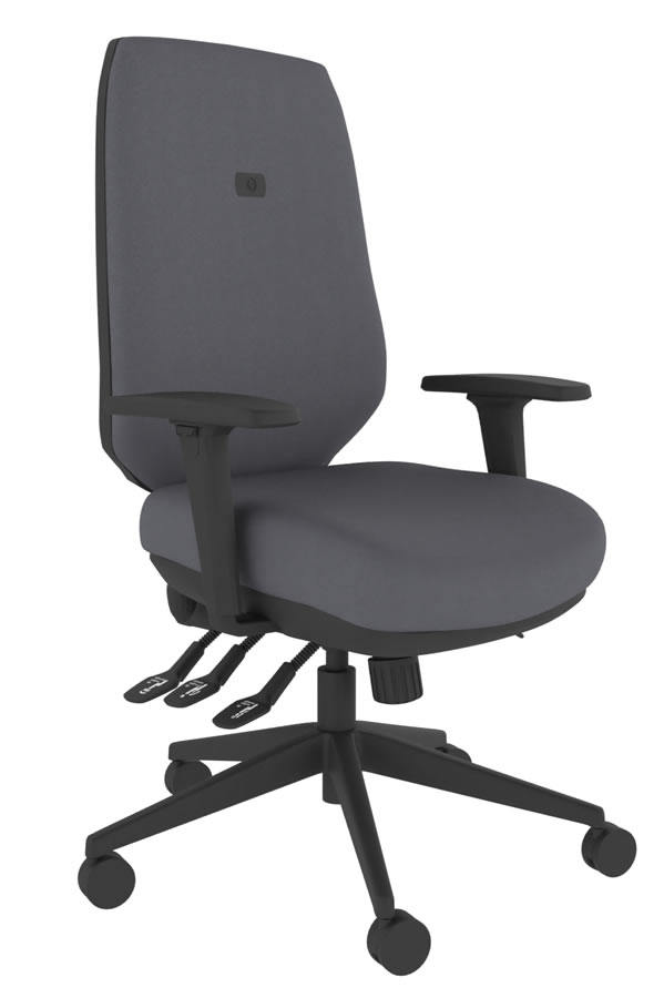 View Grey Ergo Body Balance Office Chair Body Balance Mechanism Adjustable Lumber For Backpain Seat Slide Adjustment Positiv Posture 24hr Chair information