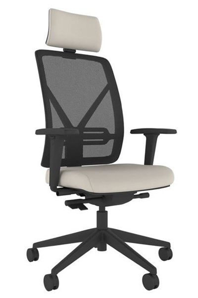 Pluto Ergonomic Mesh Office Chair