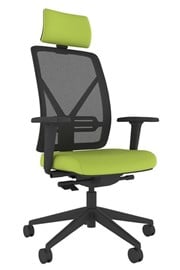 Pluto Ergonomic Mesh Office Chair - Green 