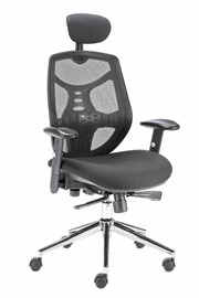 Polaris Ergonomic Mesh High Back Office Chair - Black