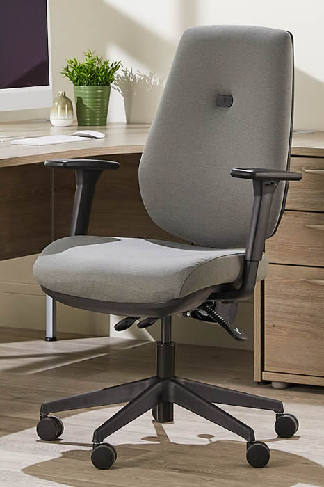View Grey Luxury Ergonomic Best Home Office Desk Chair Multiple Features Orthopaedic Backrest Comfy Office Chair Suits Larger User Ergo Flex information