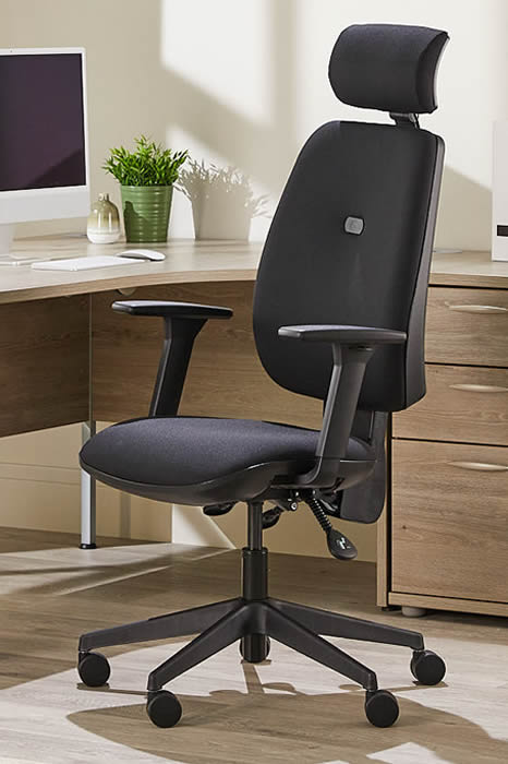 View Black High Back Ergonomic Executive Desk Home Office Chair Ratchet Height Backrest Seat Tilt Seat Slide Adjustable HeadrestErgo Sit information