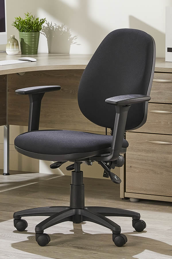 Lower back store desk chair support