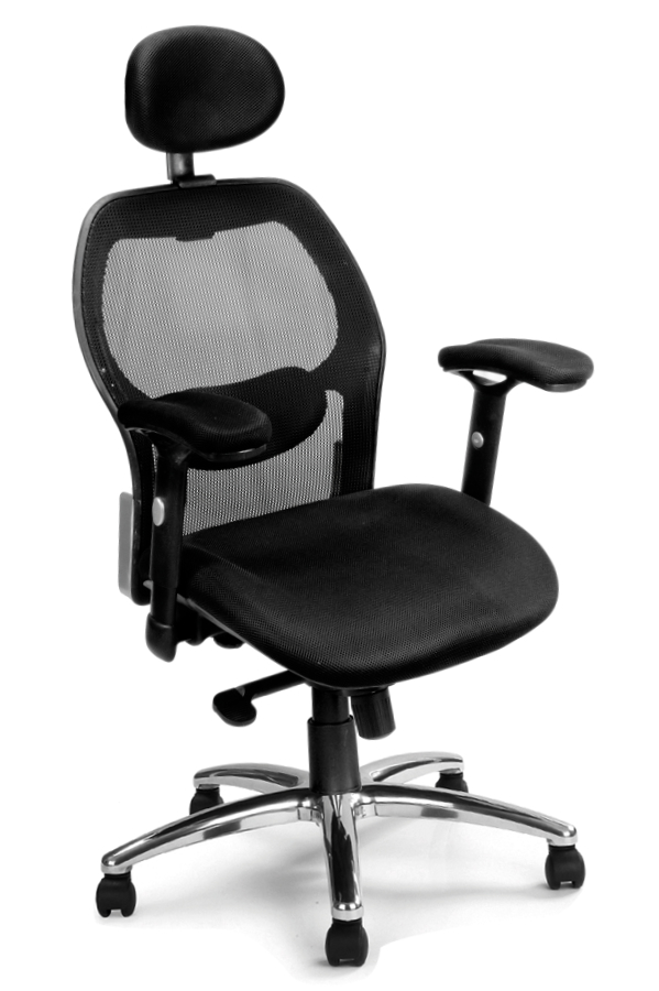 View High Back Mesh Office Chair With Headrest Deeply Padded Seat Adjustable Padded Arms Modern Look Style Silver Black Back Support Abacus information