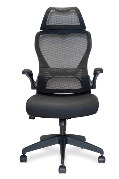 High Back Folding Arm Mesh Office Chair Adjustable Headrest Canis