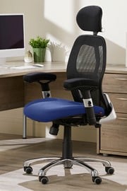 Cobhamly Mesh Office Chair - Black/Blue 