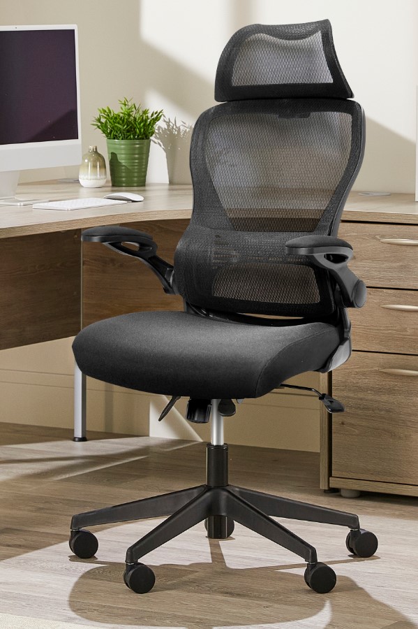 High Back Folding Arm Mesh Office Chair - Adjustable Headrest - Canis