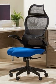 Canis High Back Blue Folding Arm Mesh Office Chair