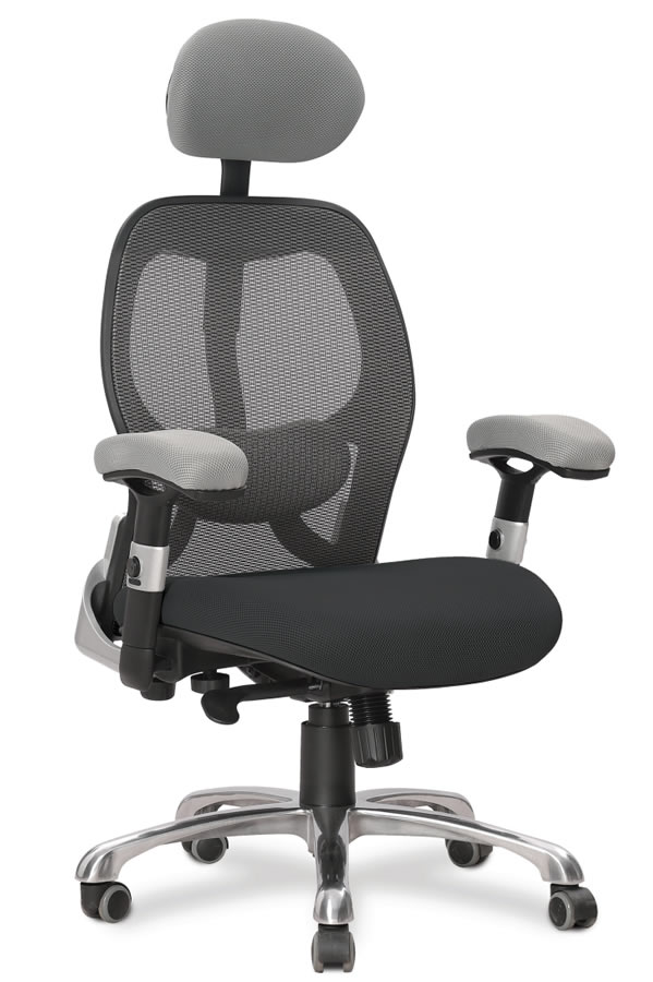 View High Back Mesh Office Chair With Headrest Deeply Padded Seat Adjustable Padded Arms Modern Look Style Silver Black Back Support Quebec information