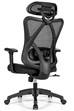 Chatham Ergonomic Mesh Office Chair