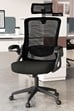 Colton Ergonomic Mesh Office Chair