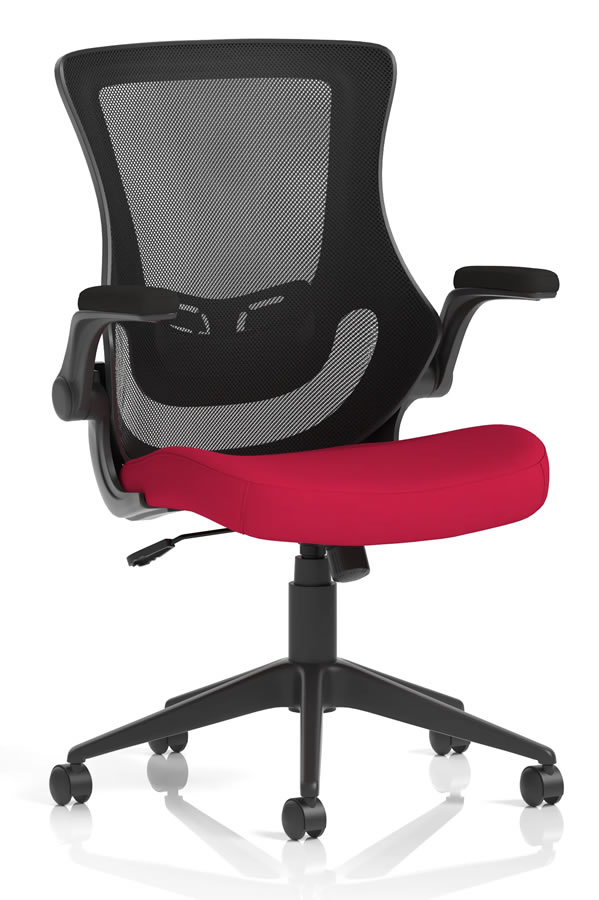 View Atlanta Red Ergonomic Mesh Home Office Chair FlipUp Folding Arms Deeply Padded Seat Breathable Mesh Backrest Height Adjustable Lumbar information