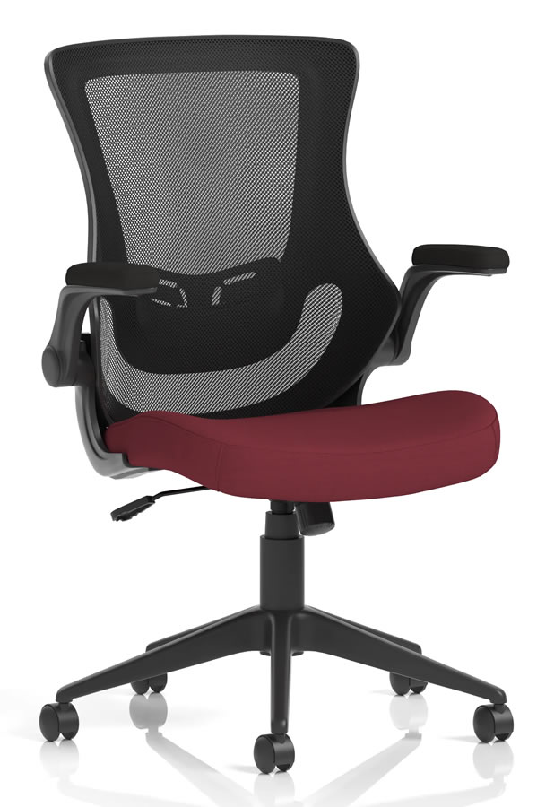 View Atlanta Chilli Ergonomic Mesh Home Office Chair FlipUp Folding Arms Deeply Padded Seat Breathable Mesh Backrest Height Adjustable Lumbar information