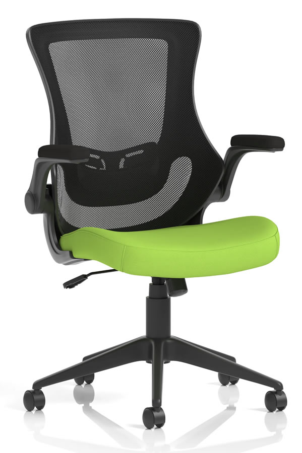 View Atlanta Green Ergonomic Mesh Home Office Chair FlipUp Folding Arms Deeply Padded Seat Breathable Mesh Backrest Height Adjustable Lumbar information