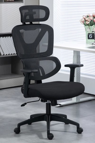 Wave Ergonomic Mesh Office Chair