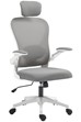 Dalton Ergonomic Mesh Office Chair