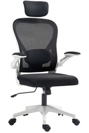 Dalton Black Ergonomic Mesh Office Chair