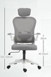 Dalton Ergonomic Mesh Office Chair