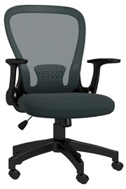 Lunar Ergonomic Mesh Office Chair