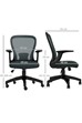 Lunar Ergonomic Mesh Office Chair