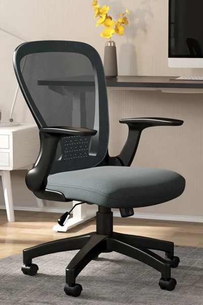 Lunar Ergonomic Mesh Office Chair