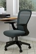 Lunar Ergonomic Mesh Office Chair