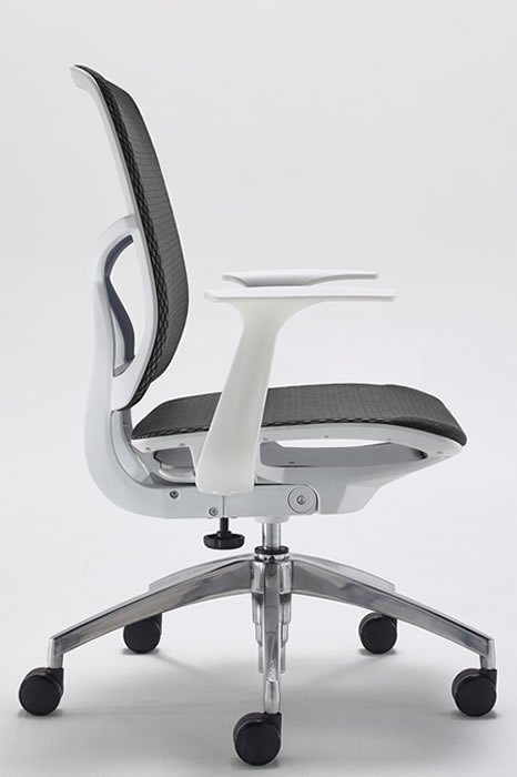 Zico chair outlet