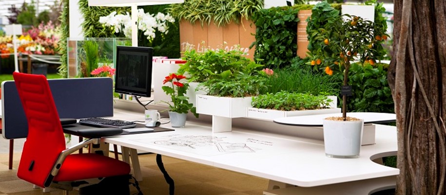 Creating a Greener Office Environment